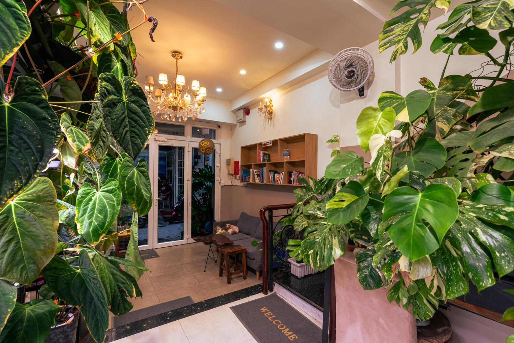 Amango Home مدينة هوشي منه المظهر الخارجي الصورة